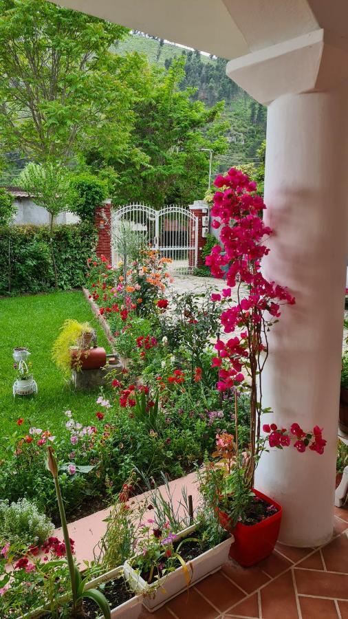 Veranda B&B Berat Buitenkant foto